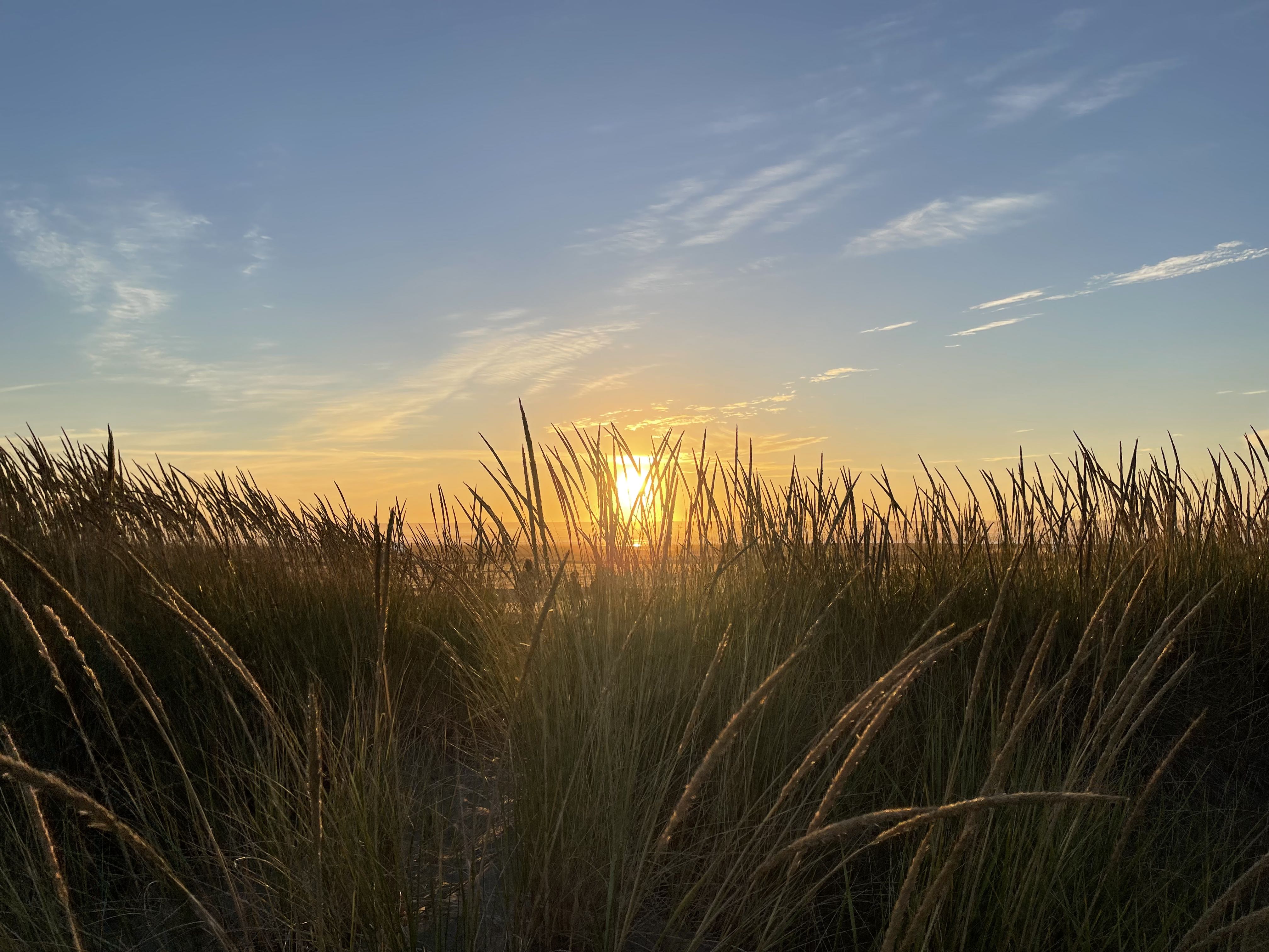 Beach Sunset