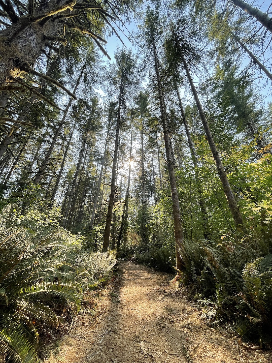 Trails